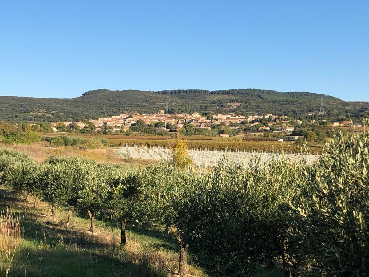 Val Des Bruyeres - Gite 15Mn Pezenas Avec Terrasse Et Cour Close - Parking Privatif Securise - Wifi Ftth Gratuit Neffies Eksteriør bilde