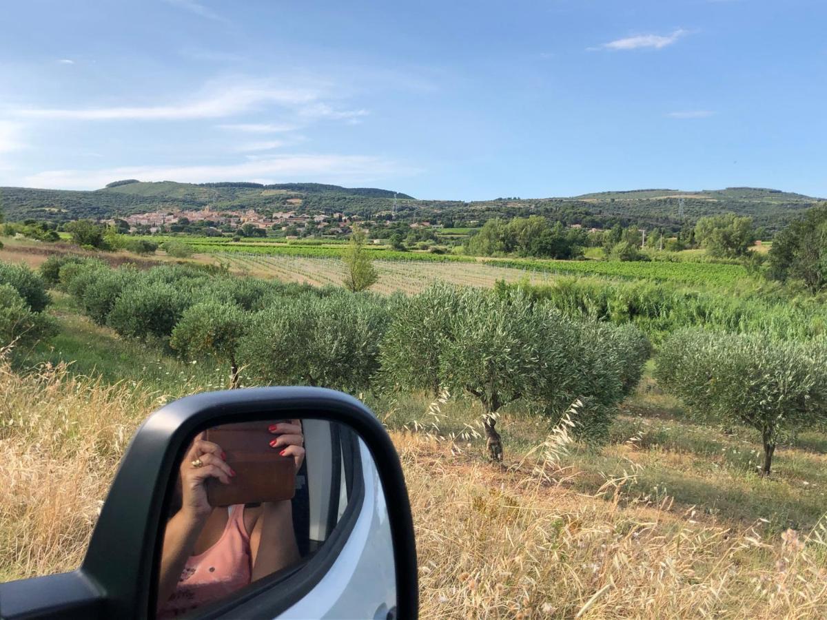 Val Des Bruyeres - Gite 15Mn Pezenas Avec Terrasse Et Cour Close - Parking Privatif Securise - Wifi Ftth Gratuit Neffies Eksteriør bilde