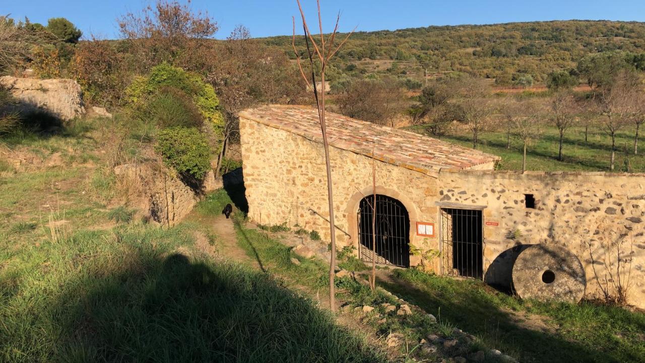 Val Des Bruyeres - Gite 15Mn Pezenas Avec Terrasse Et Cour Close - Parking Privatif Securise - Wifi Ftth Gratuit Neffies Eksteriør bilde